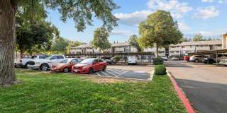 Phillippi Plaza Gallery 18