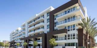 Elements Gallery 142