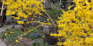 175 Garfield Place Gallery 16