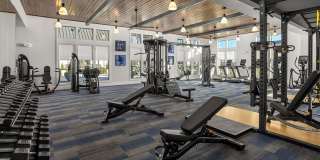 Alexan Lake Olympia Gallery 21