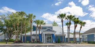 The Phoenix Orlando Gallery 11