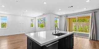 Modern Luxury Living at The Farm in San Juan Capistrano Gallery 15