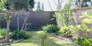 183 S Starflower Gallery 7