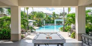 Town Treeline Gallery 8