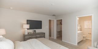10030 Twin Fawn Trail Gallery 23