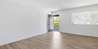 Paloma C2 LLC Gallery 20