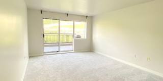 Spacious Seattle Condo - $2,200 Gallery 23