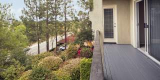 Alta Vista Gallery 12