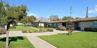 The Pines Apartments Gallery 63