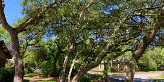 317 Somerset Drive Gallery 19