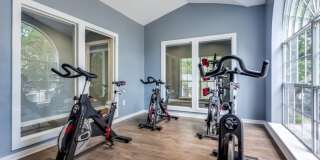 Essex House Gallery 4