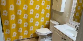 Renovated 2BD off St Charles Ave with Laundry Gallery 11