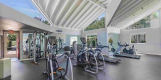 Kensington Kensington Gallery 10