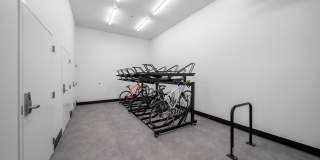 The Piper Gallery 29