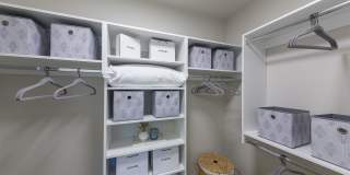 Longleaf at St. Johns Gallery 13