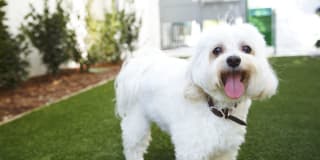 The Avenue Hollywood Gallery 30