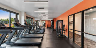 Solera Apartments Gallery 17