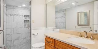 4141 Bayshore Blvd Apt 1204 Gallery 16