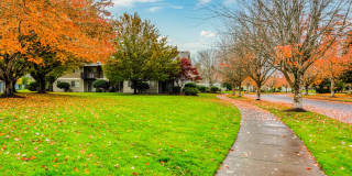 Parkmeadow Gallery 20