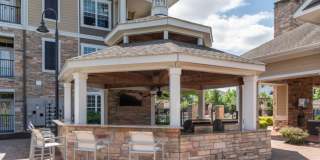 Red Knot at Edinburgh Gallery 53