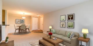 Avana Stoney Ridge Gallery 8