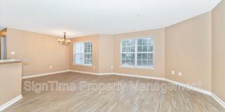 2007 Starlight Lane Gallery 1