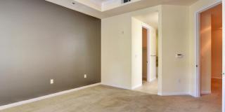 Boca Raton Gallery 39