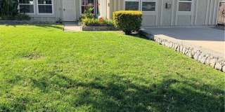 2752 S Arcadian Shores Rd Gallery 1