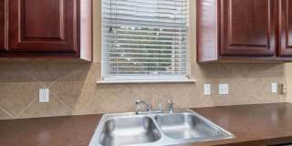 2405 Kapalua Pl Pflugerville, TX 78660 Gallery 14