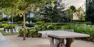 Arcadia Dr. Phillips Arcadia Dr. Phillips Gallery 31