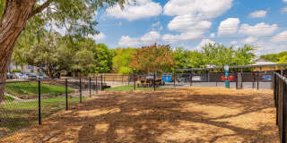 Silver Creek Gallery 13