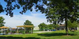 Woods of Castleton Gallery 15