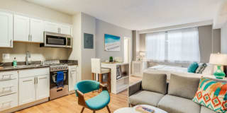 The Palisades Gallery 1