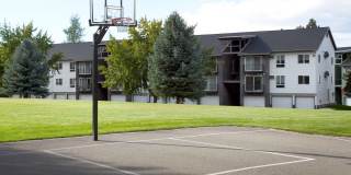 Whimsical Pig Gallery 19