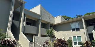 514 Windrush Bay Dr Gallery 4