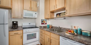 The Metropolitan of Baltimore Gallery 12