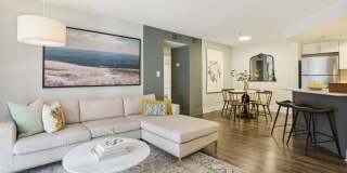 Virginia Highlands Gallery 8