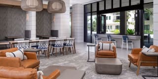 Avalon Doral Gallery 19