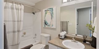 Alvista 23 Gallery 15