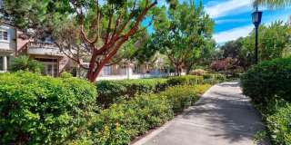 5512 Renaissance Avenue Gallery 52