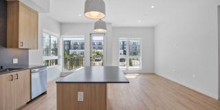 Haven + Arrow Gallery 56