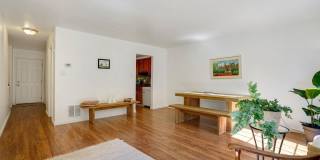 6356 SHAUNDALE DR Gallery 7