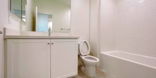 4071 E Peony Paseo Gallery 17