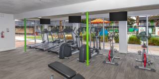 Studio 710 Gallery 24