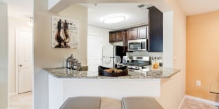 Regent's Park Gallery 15