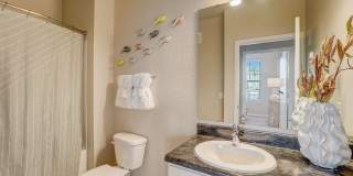 Authentix Suncoast Gallery 13