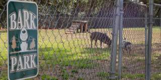 Creekwood Apartments Gallery 19