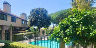 5151 Walnut Gallery 25