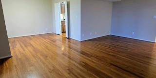 5903 MOUNT EAGLE Drive Gallery 8