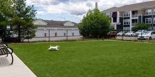 Avalon Westbury Gallery 36